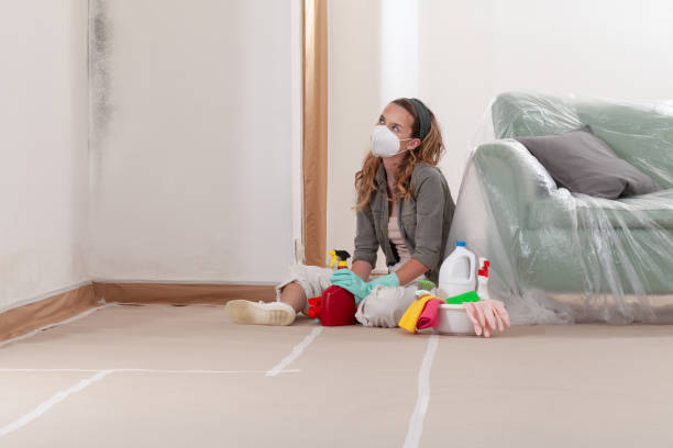 Reliable Mold Remediation contractor in Newport, NC by WQB Mold Removal